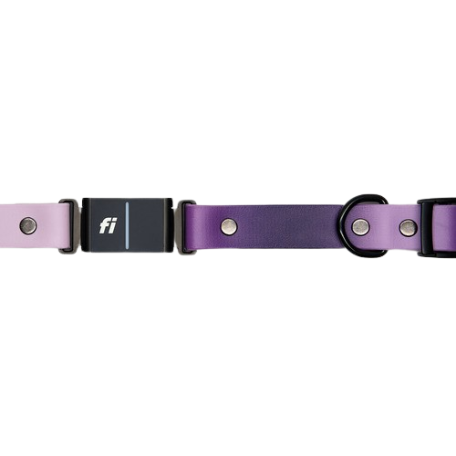 A Fi maker product