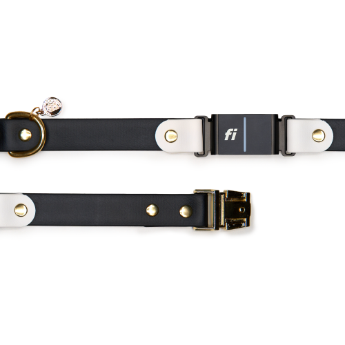 A Fi maker product