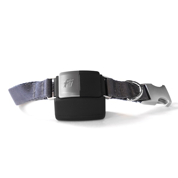 The Store  Fi Smart Dog Collar