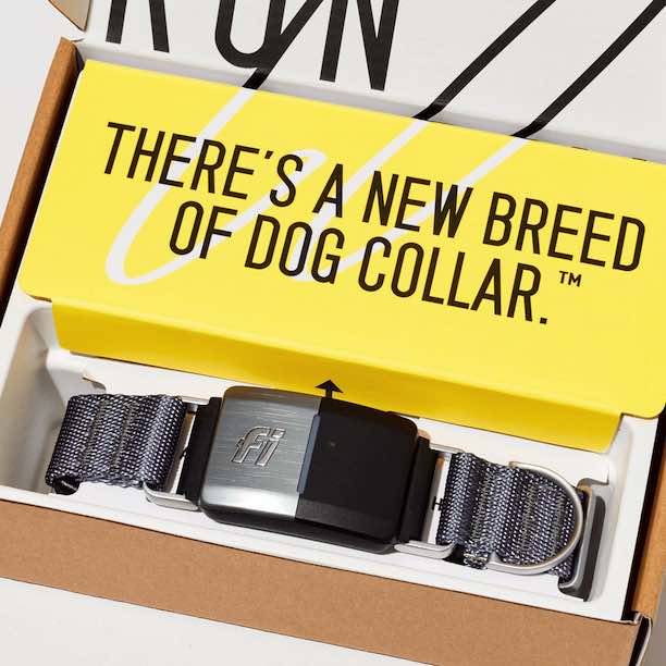 The Store  Fi Smart Dog Collar