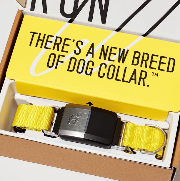 The Store  Fi Smart Dog Collar